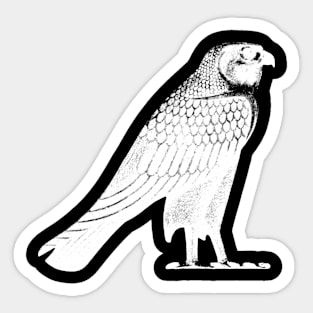 Horus falcon Sticker